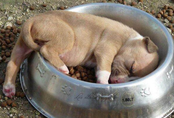 Bu karelerde bir tuhaflık var! - Resim: 3