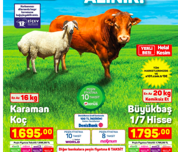 A101 kurbanlık koç fiyatı kaç para 2021 - Resim: 0