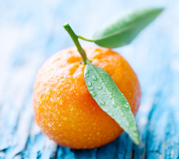 Sonbaharın gelmiş olduğunu hatırlatan doğa olayları - Resim: 3