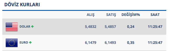 Dolar neden yükseliyor? Vatandaş 5 aydır aralıksız dolar alıyor - Resim: 2