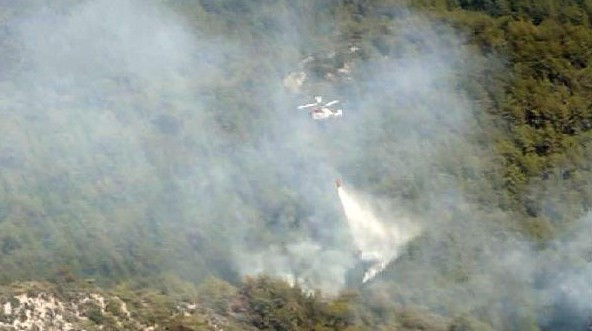 Orman yangınları uzaydan bile göründü NASA'nın fotoğrafları üzücü! - Resim: 4