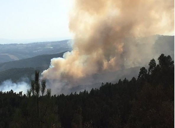 Dev yangın 3 gündür söndürülemiyor! - Resim: 1