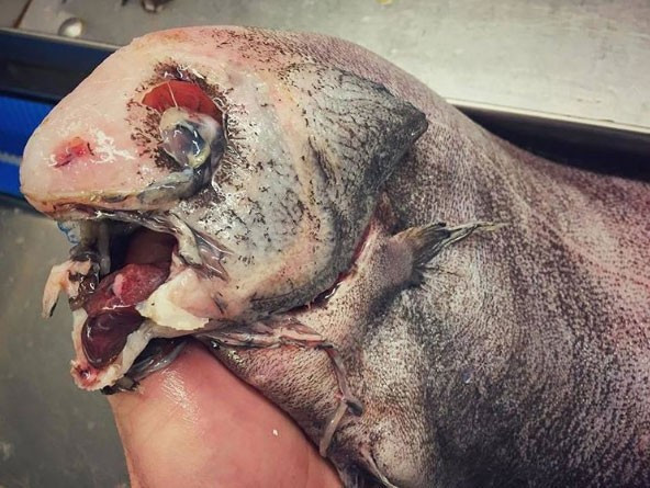 'Onunda bir güzelliği var' dedi ama görenler hayret etti! - Resim: 4