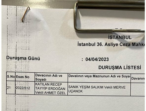 Erdoğan'a "hakaret" ettiği iddia edilen Yeşim Salkım hakkında karar - Resim: 0
