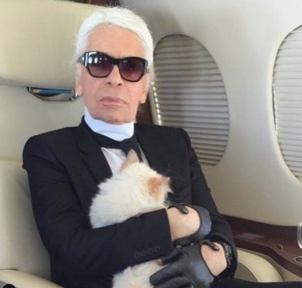 Karl Lagerfeld mirasını kedisine bırakıyor serveti çılgın bir rakam - Resim: 1