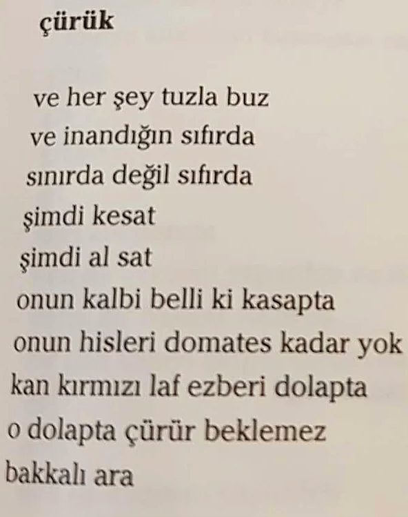 Sıla'yı yerden yere vurdu rezil etti hem de sosyal medyada! - Resim: 4