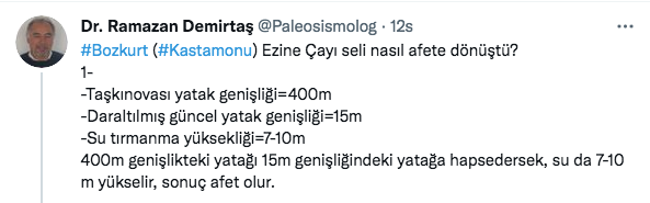 Bozkurt'taki sel nasıl afete dönüştü? Uzman Paleosismolog rakamlarla anlattı - Resim: 1