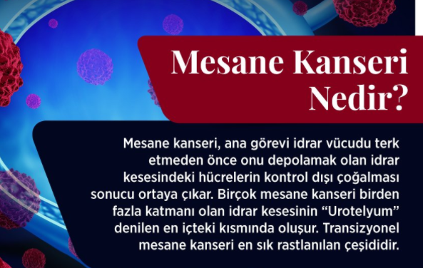 Bu kanser erkeklerde daha sık görülüyor! Belirtileri neler, kimler risk grubunda? - Resim: 0