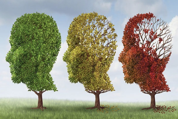 Bunamaya (demans) karşı tüketilmesi gereken 7 önemli besin - Resim: 1