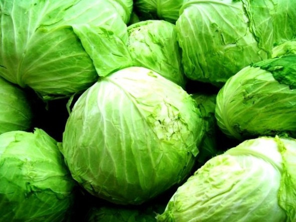 Çıkmadan bir bardak için lahana suyu mucizesi! - Resim: 3