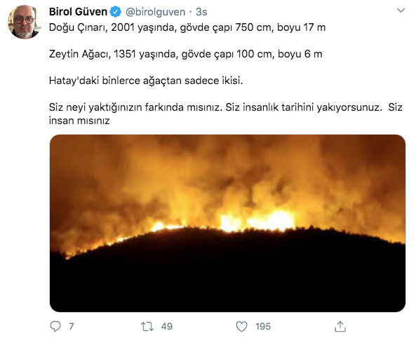 Ünlülerden PKK'ya Hatay yangını tepkisi Fettah Can fena patladı küfür bile etti - Resim: 3