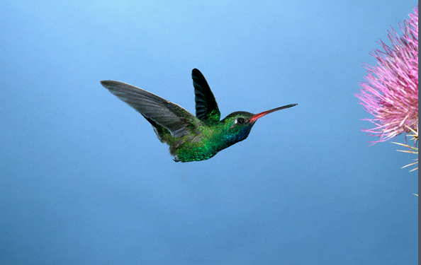 Cehennem azabından koruyan dualar - Resim: 3