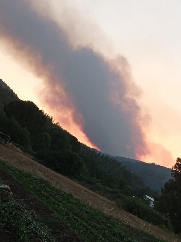 Marmaris'te korkutan yangın! Yine ciğerlerimiz yanıyor - Resim: 2