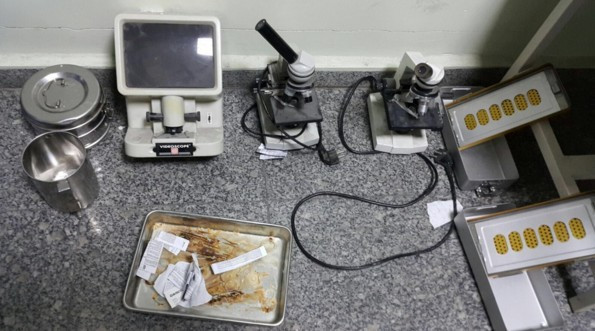 PKK kürtaj işine girdi çıkanlara bak! - Resim: 2