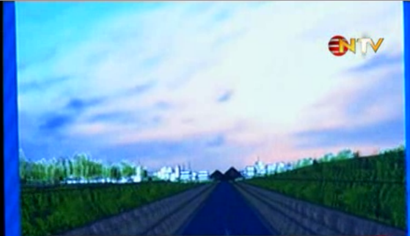 Başbakan'ın kanalı için dönen geyikler! - Resim: 2