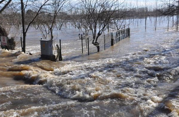 Edirne'de taşkın alarmı - Resim: 2