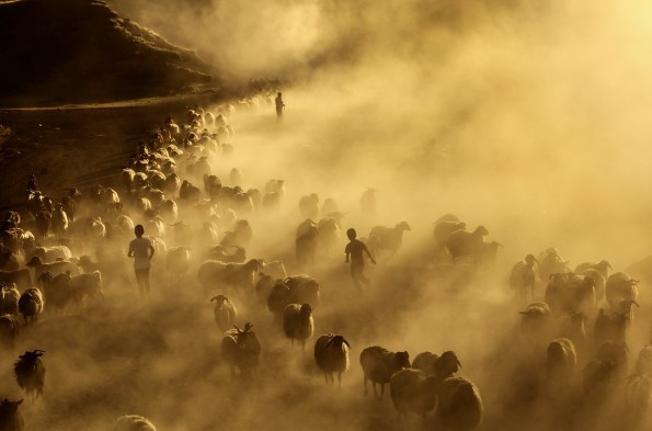 Vahşi Batı değil Türkiye film seti gibi anlar! - Resim: 4