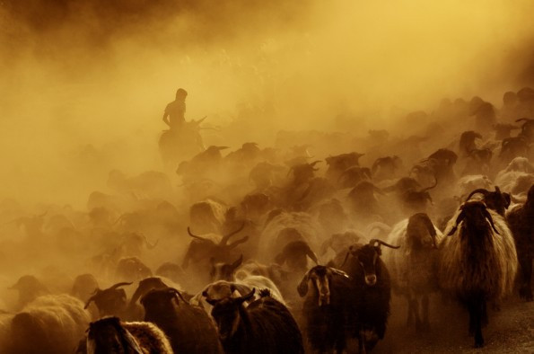 Vahşi Batı değil Türkiye film seti gibi anlar! - Resim: 1