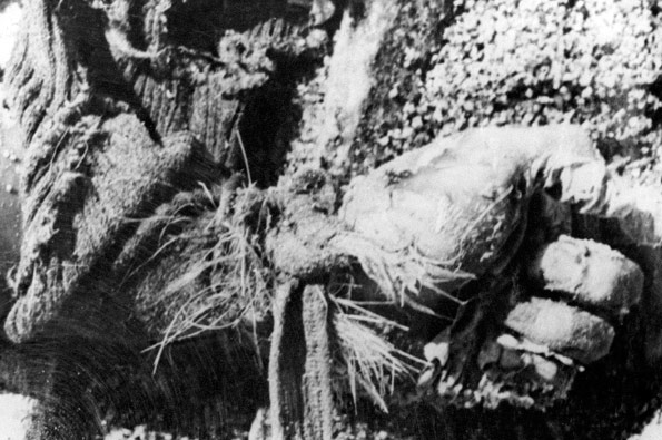 Dehşetin fotoğraflarını teslim ettiler! - Resim: 4