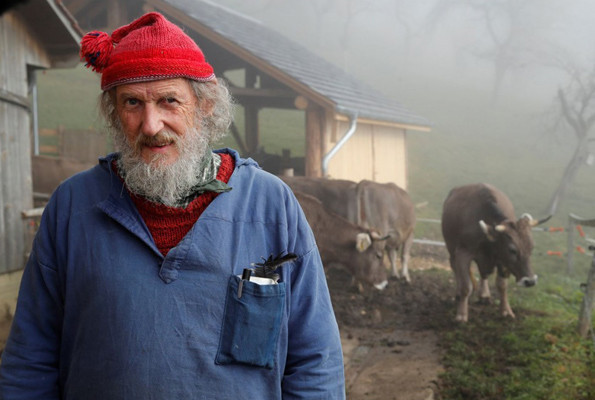 İneklerin boynuzları için referandum yapılacak Kararı İsviçre halkı verecek - Resim: 2