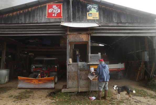 İneklerin boynuzları için referandum yapılacak Kararı İsviçre halkı verecek - Resim: 3