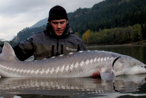 Çin'den alkışlanacak hareket inşaat balıkların ölümüne neden olunca sonlandırıldı - Resim: 3