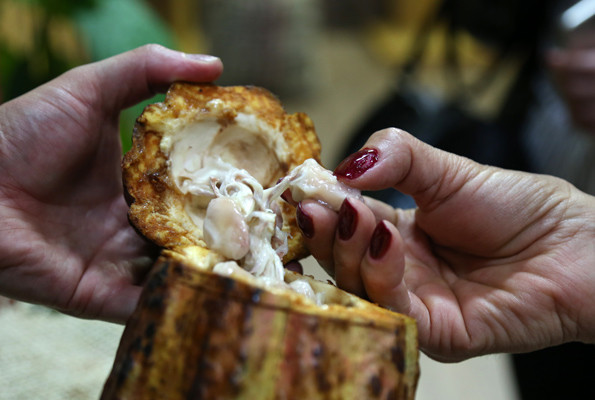 Çikolata fuarı başladı rekor kıracaklar  - Resim: 2