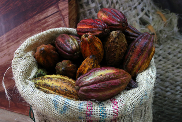 Çikolata fuarı başladı rekor kıracaklar  - Resim: 4