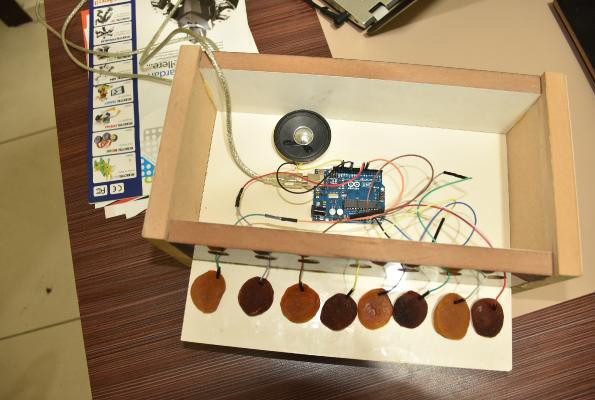 Malatya’da kayısıdan piyona yaptılar - Resim: 1