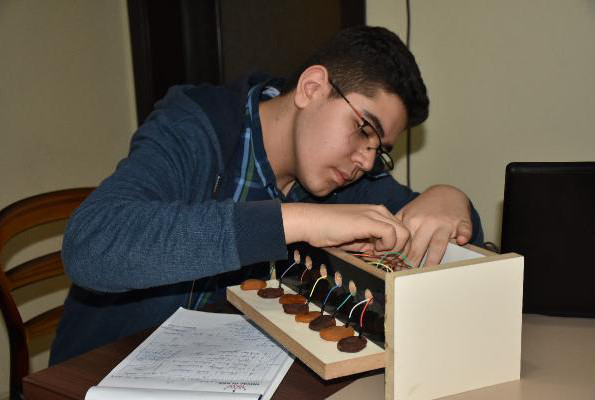 Malatya’da kayısıdan piyona yaptılar - Resim: 3