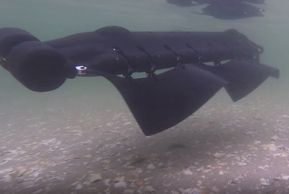 Robotlar yüzmeye başladı vatoz balığına benziyor - Resim: 2