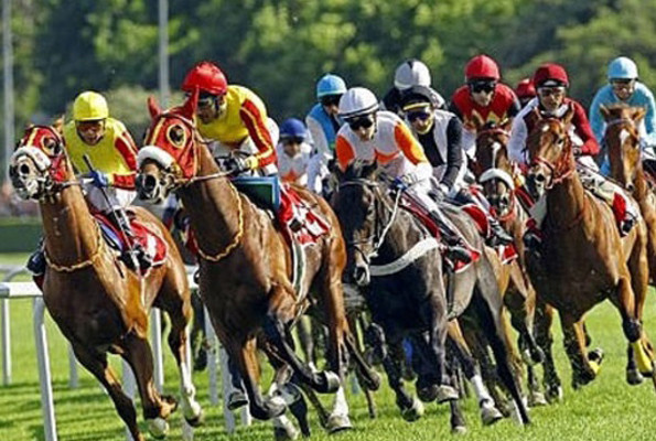 Milli Piyango artık ‘milli olmasın destekler çekilsin’ önerisi - Resim: 4