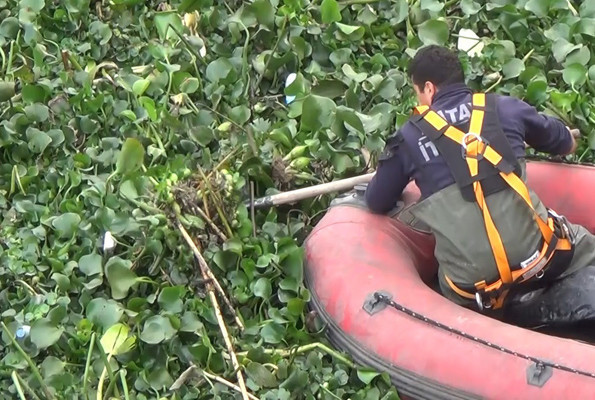 Asi Nehri tarlaya döndü Suriye’den getirdiklerine bakın - Resim: 2