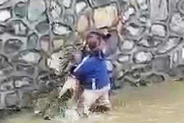 Akıntıya direnen karaca son anda kurtarıldı - Resim: 1