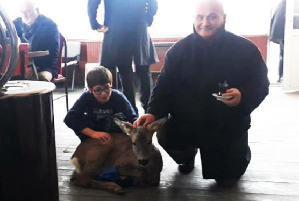 Akıntıya direnen karaca son anda kurtarıldı - Resim: 4