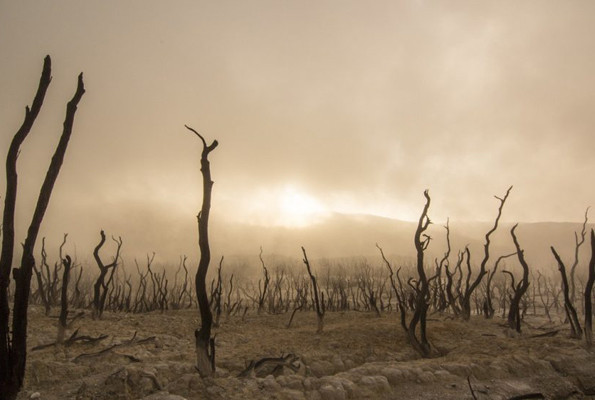 Birleşmiş Millet'ler açıkladı Türkiye'nin zararı 1.9 milyar dolar - Resim: 3