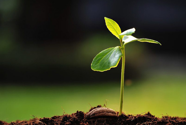 Birleşmiş Millet'ler açıkladı Türkiye'nin zararı 1.9 milyar dolar - Resim: 4