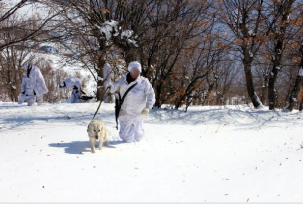 Bingöl operasyonundan şok fotoğraflar - Resim: 4