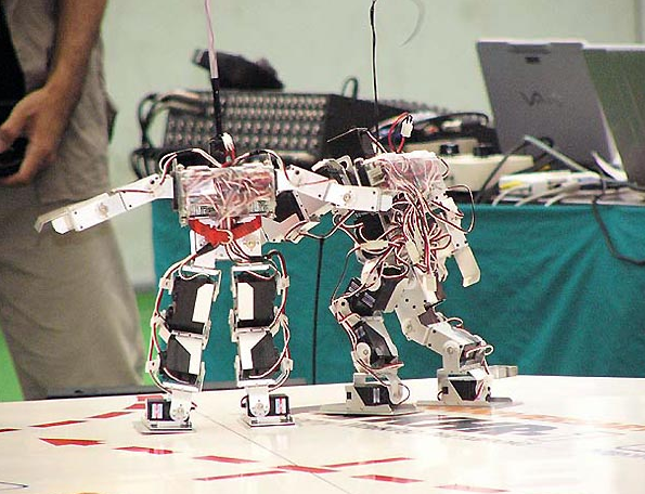 2011'in en garip olayları - Resim: 4