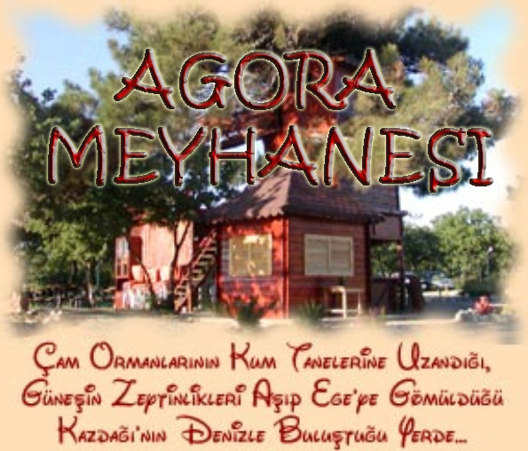 Aman Erdoğan duymasın! - Resim: 2