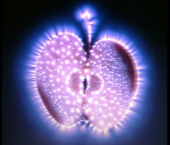 Hayran bırakan foğrafçılık yöntemi - Resim: 4