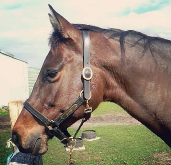 Ata tecavüz eden sapıktan skandal savunma 'Bana göz kırptı onay verdi' - Resim: 4