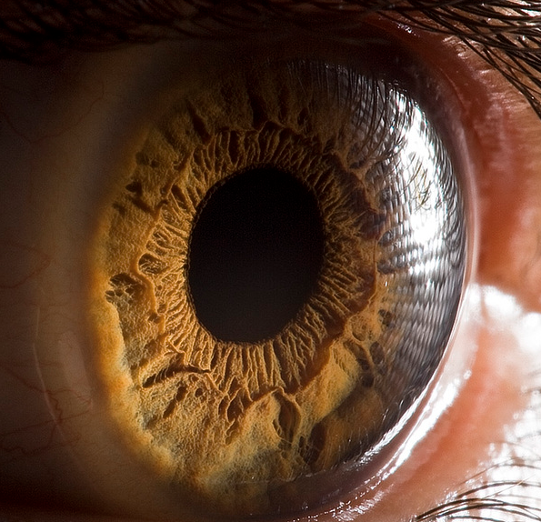 İnsan gözündeki sırra tanık olun - Resim: 3