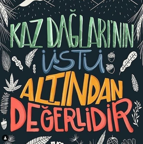 Şarkıcı Elif Kaya Kaz Dağları için soyundu mesajı olay oldu - Resim: 4