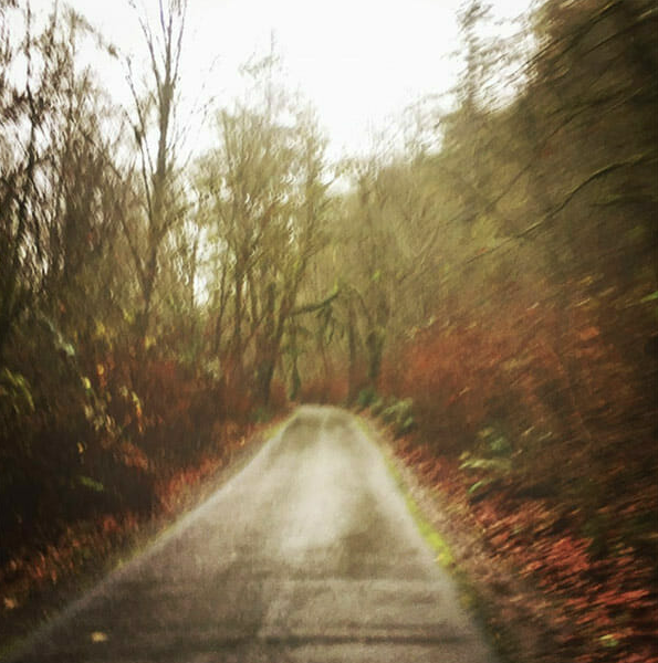 Ormanda spor yapan kadına saldırdı sonrası çok fena! - Resim: 2