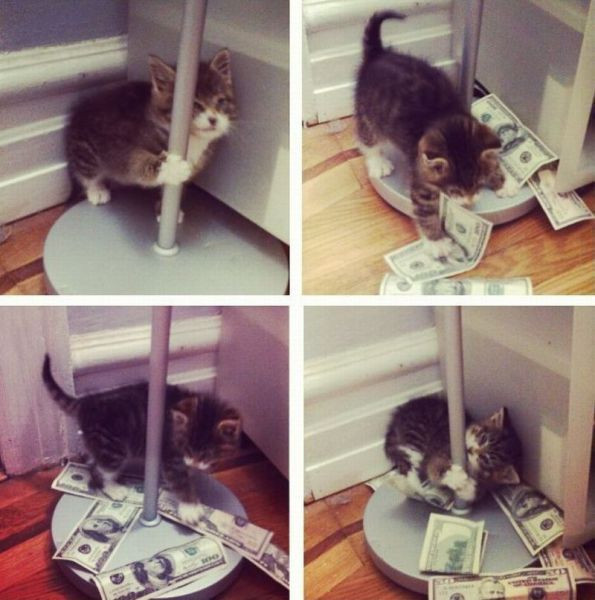 Günün en çılgın fotoğrafları! - Resim: 3