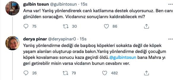 Fox Tv spikeri Gülbin Tosun'dan köpek saldırısında ölen Mahra Melin'in annesine tehdit ve hakaret! - Resim: 0