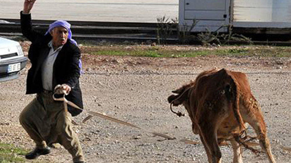 Kocaeli'de Kurban Bayramı'na tam hazırlık bu yıl o manzaralar yaşanmayacak - Resim: 2