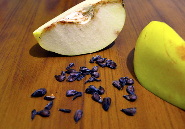 Bu meyvenin çekirdeğini kesinlikle yüzünüze sürün! Faydalarına inanamayacaksınız - Resim: 3