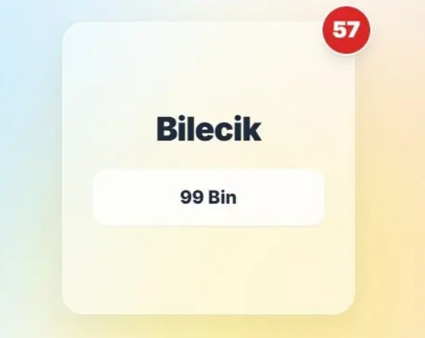 Şehir şehir araç sayıları açıklandı! Yaşadığınız şehirde kaç araç var? - Resim: 27